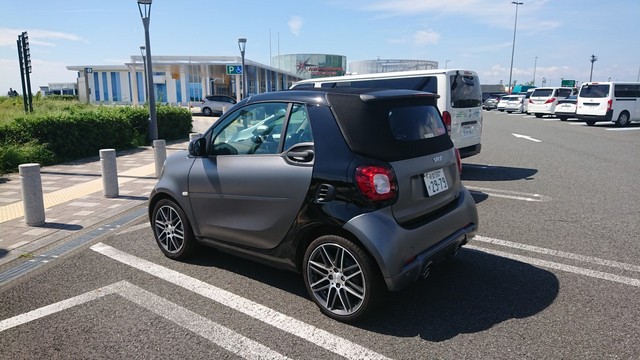 今日は実家の庭木の手入れです