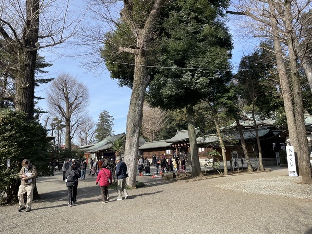 井草八幡宮　初詣