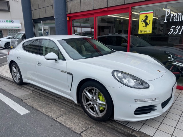 パナメーラテスター診断