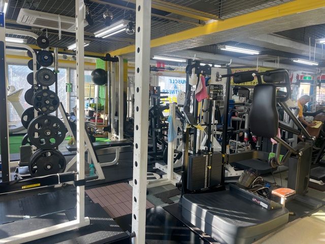 トレーニング開始