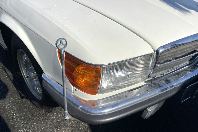 商品車仕入れて来ました